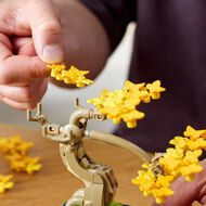 LEGO Botanicals Mini Bonsai Trees 10373