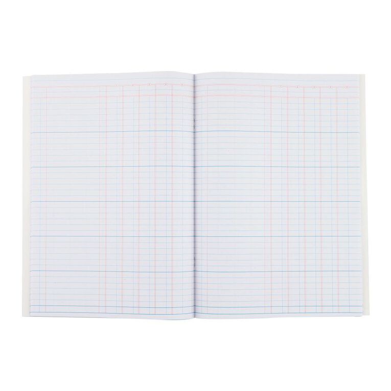 WS 5 Money Column Limp Analysis Book 26 Leaf Green Mid A4