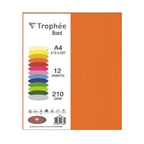 Trophee Board 210gsm Flame 12 Pack