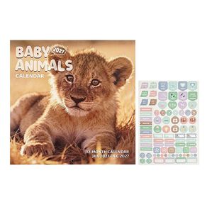 WS 2027 Calendar Baby Animals