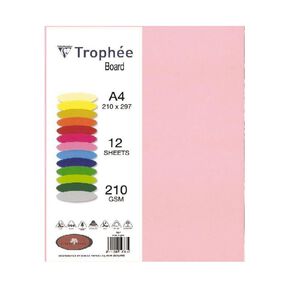 Trophee Board 210gsm Pink 12 Pack