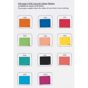 Filecorp Coloured Labels Z Multi-Coloured