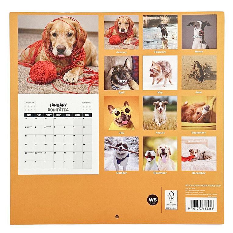 WS 2027 Calendar Quirky Dogs