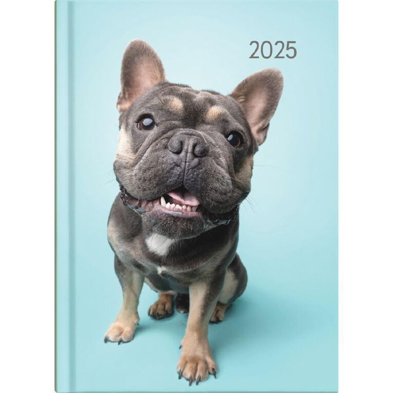 Collins 2027 Diary A53 Cats & Dogs