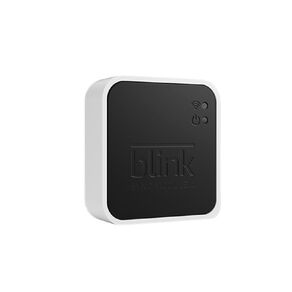 Blink Sync Module 2