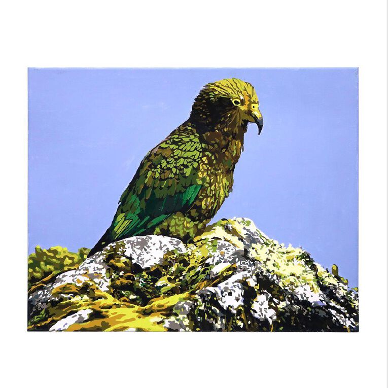 Uniti Art Paint By Numbers Kea