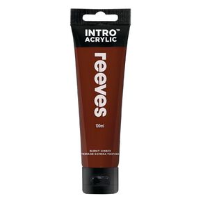 Reeves Intro Acrylic Paint Burnt Umber 100ml