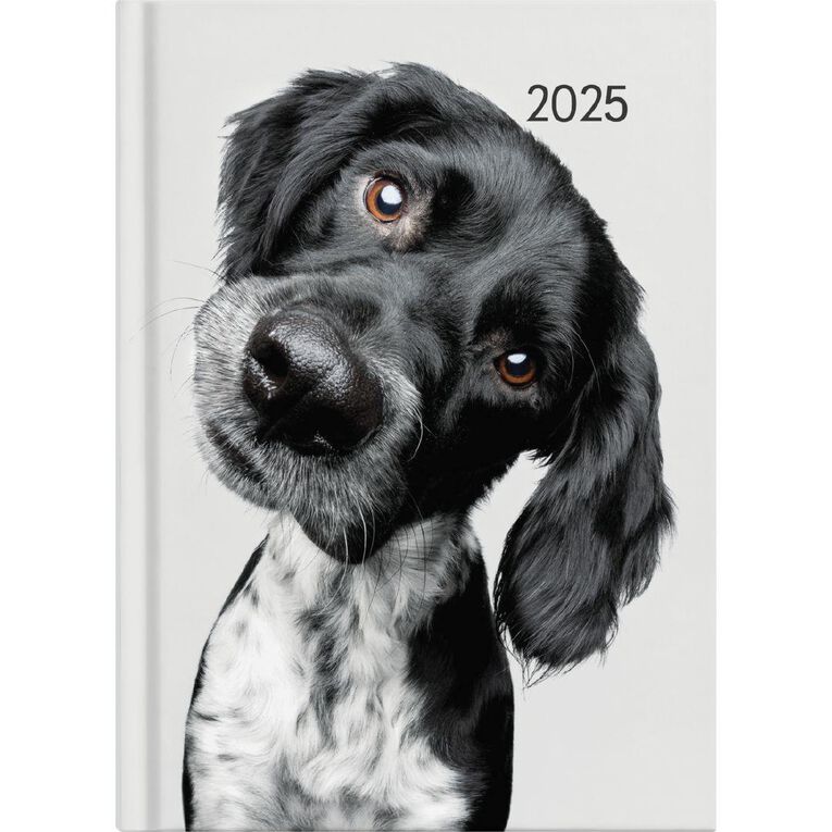 Collins 2027 Diary A53 Cats & Dogs