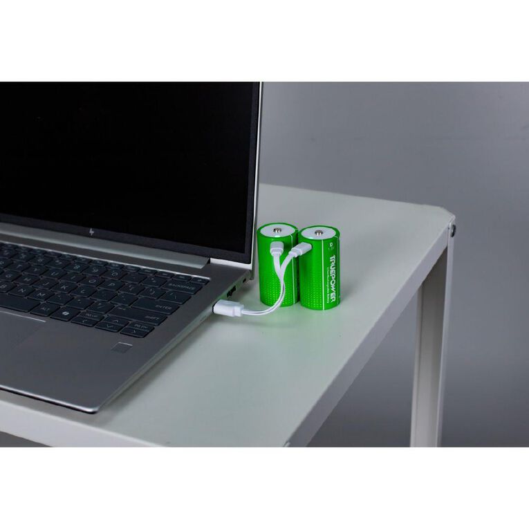 Truepower Truepower D USB-C Rechargeable Batteries
