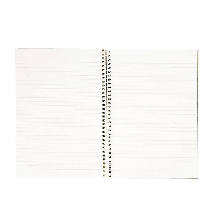 Spirax 812 Recycled Notebook 120 Page Multi-Coloured A5