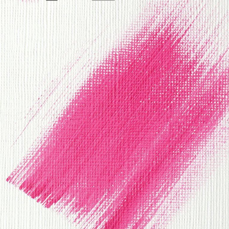 Liquitex Basics 250ml Gesso