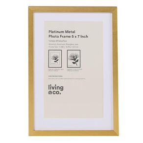 Living & Co Platinum Metal Photo Frame Gold 5in x 7in