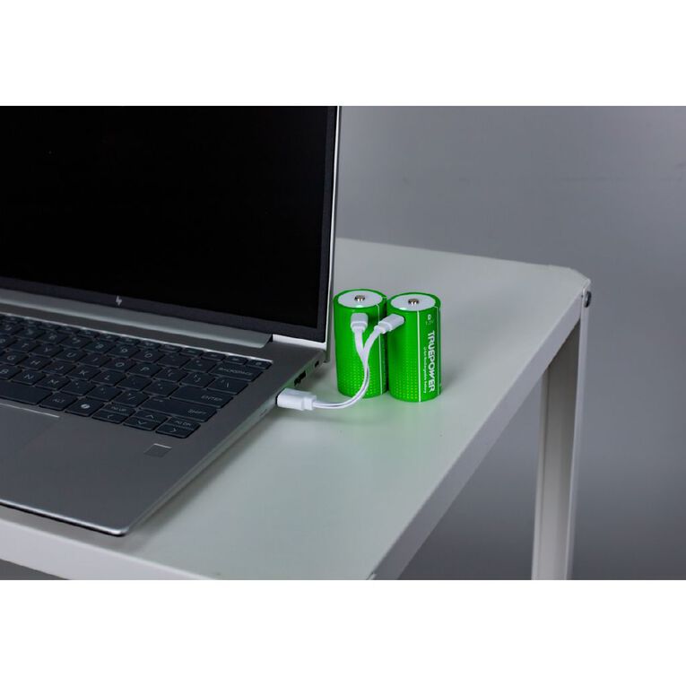 Truepower Truepower D USB-C Rechargeable Batteries