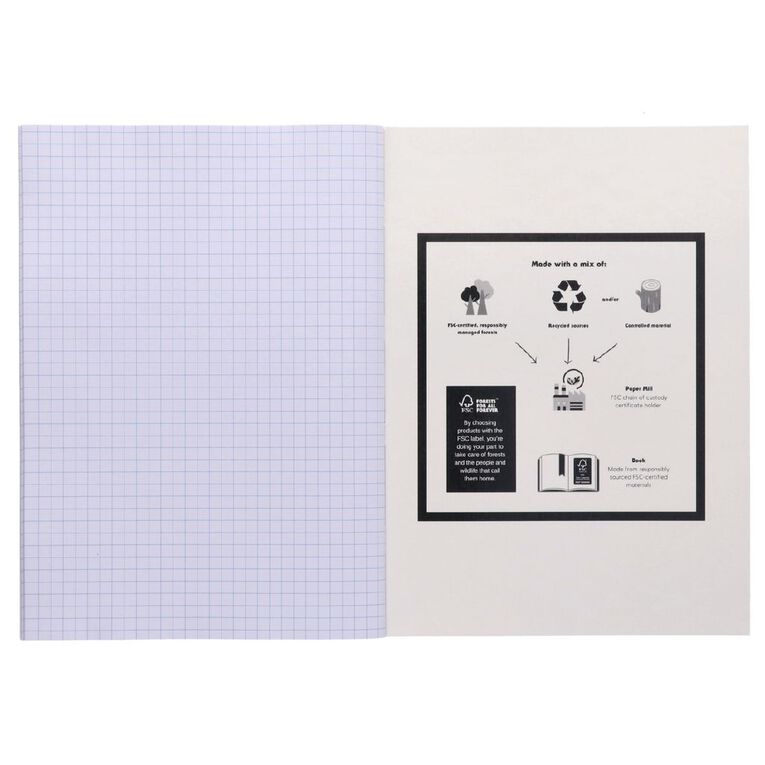 WS Exercise Book 1E8 Plus Quad 36 Leaf Blue