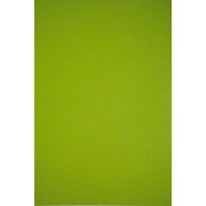 Kaskad Board 225gsm Parakeet Green Mid A3