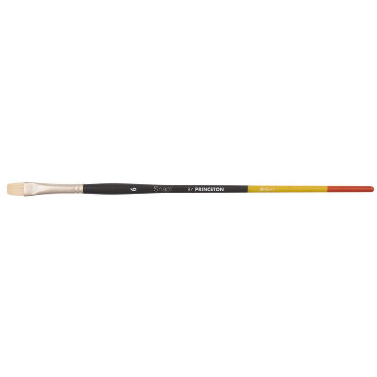 Princeton Snap Brush Long Handle Bristle Bright 6