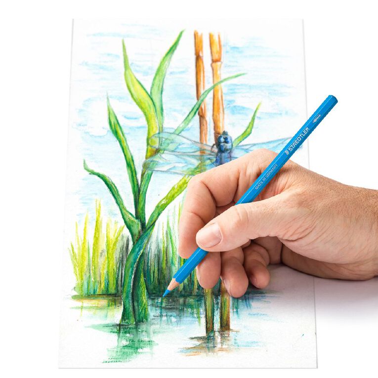 Staedtler Design Journey Water Colour Pencil Tin 12 Pack