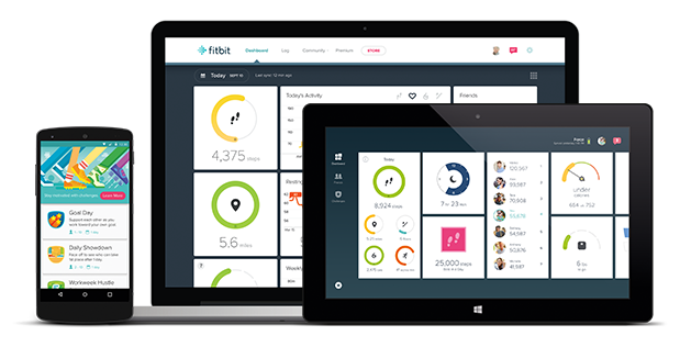 Fitbit App Experience