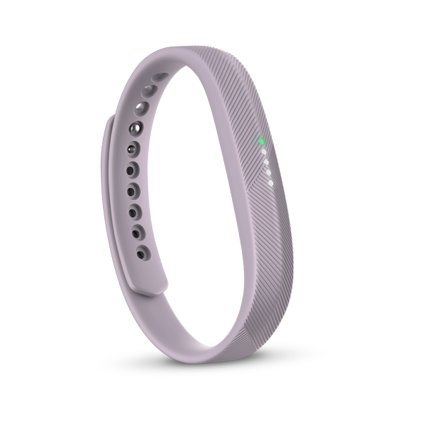 Fitness Wristband - Flex 2