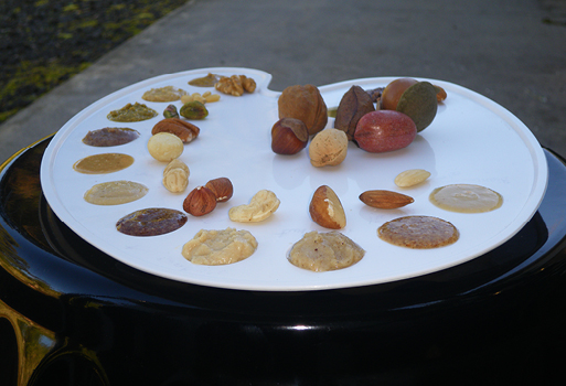 image of nuts