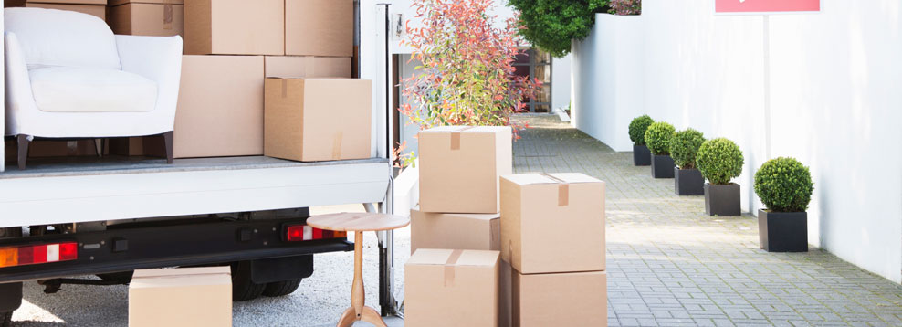 Packing Buying Guide Header